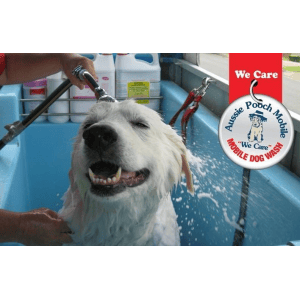 Dog Wash and Grooming in 