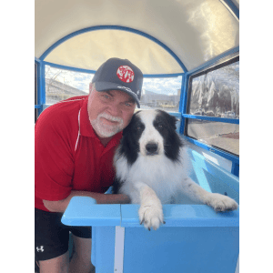 Dog Wash and Grooming in 