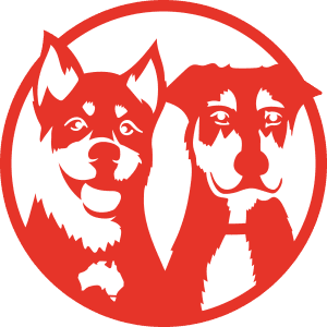 Dog Wash and Grooming in Arndell Park