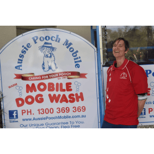 Dog Wash and Grooming in 