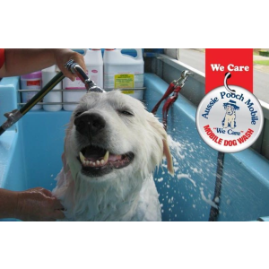 Dog Wash and Grooming in 