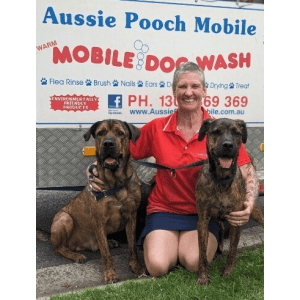 Dog Wash and Grooming in 