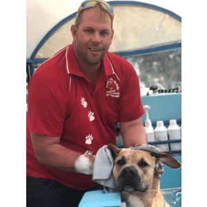 Dog Wash and Grooming in 