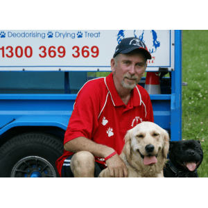 Dog Wash and Grooming in 