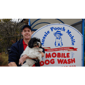 Dog Wash and Grooming in 