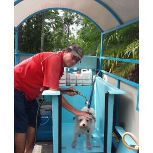 Dog Wash and Grooming in 