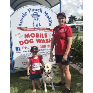 Dog Wash and Grooming in 