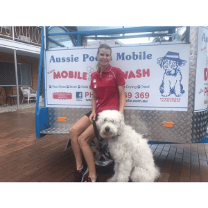 Dog Wash and Grooming in 