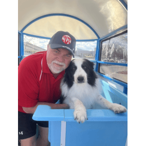 Dog Wash and Grooming in 