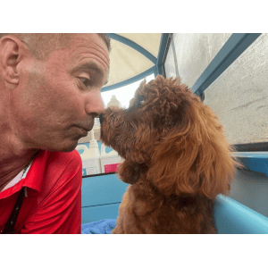 Dog Wash and Grooming in 