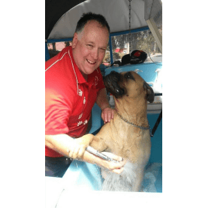 Dog Wash and Grooming in 