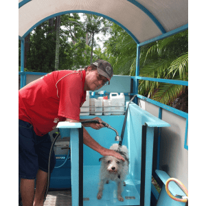 Dog Wash and Grooming in 