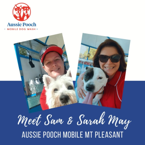 Dog Wash and Grooming in Mount Pleasant