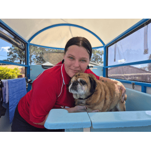 Dog Wash and Grooming in 