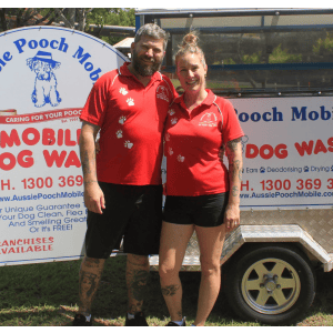 Dog Wash and Grooming in 