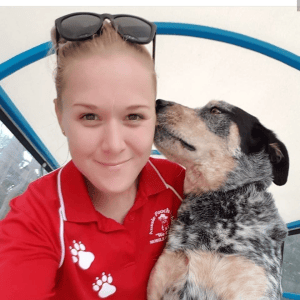 Dog Wash and Grooming in 