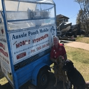 Dog Wash and Grooming in 