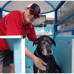 Dog Wash and Grooming in 