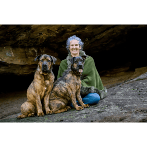 Dog Wash and Grooming in Arana Hills