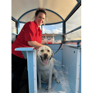 Dog Wash and Grooming in Campvale