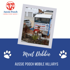 Dog Wash and Grooming in Hillarys
