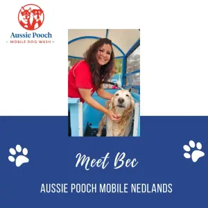 Dog Wash and Grooming in Nedlands