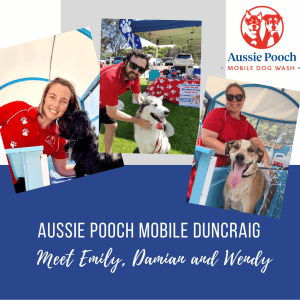 Dog Wash and Grooming in Carine